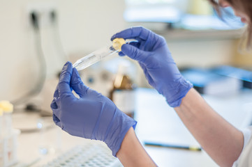 Medical laboratory close-up test-tube