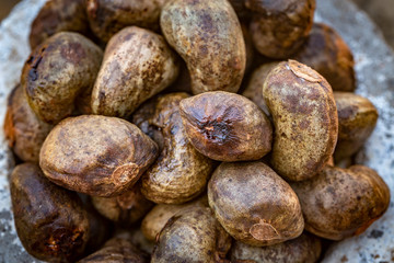 Cashew - bowl filled of raw nuts in the shell