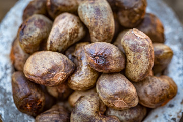 Cashew - bowl filled of raw nuts in the shell