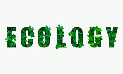  Word ECOLOGY from the green leaves