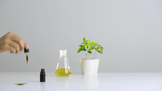 Hand dropping CBD oil from pipette to the watch glass