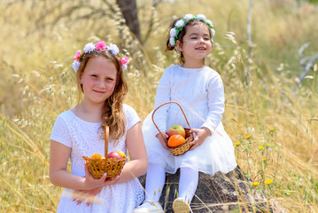 Harvest. Shavuot. Two cute smiling little girls holds basket with fruits in a wheat field. Portrait adorable small kids outdoor.