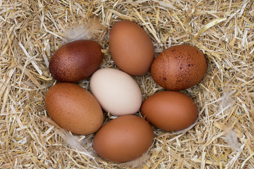 assumer sa difference