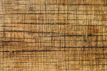 light old wooden board, background, texture