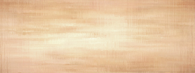 Fototapeta premium Grunge panoramic scratched texture.