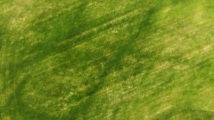 Naklejka na ściany i meble Aerial. Green grass texture background.