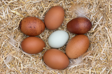 un groupe intégre un individu 