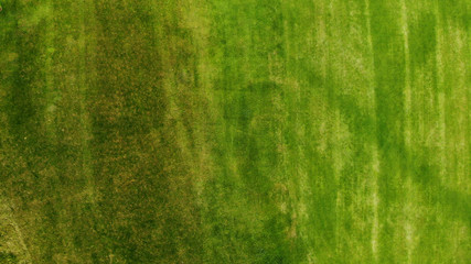 Aerial. Green grass texture background.