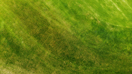 Aerial. Green grass texture background.