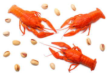 crawfish isolated on white background. Beer brewery concept. Beer background. top view