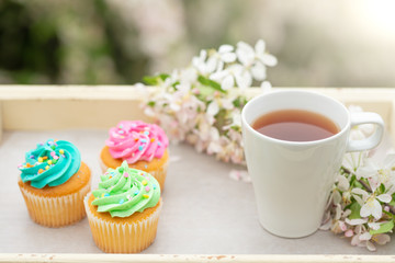 Bright cakes. Cupcakes with a blooming twig and a cup of coffee or tea on a tray with a bright color background, a sunny morning and bright mood. spring background
