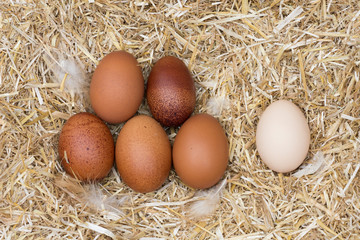 Un individu contre un groupe 