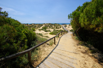 A wooden boardwalk across the dunes leading to El Portil beach, Province Huelva, Andalusia, Spain