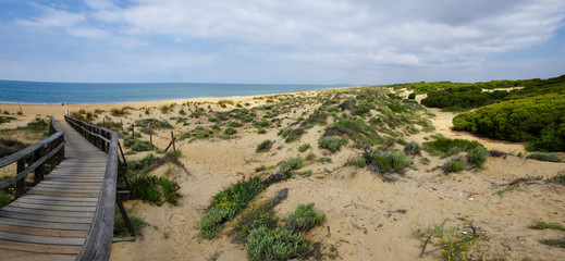 A wooden boardwalk across the dunes leading to El Portil beach, Province Huelva, Andalusia, Spain