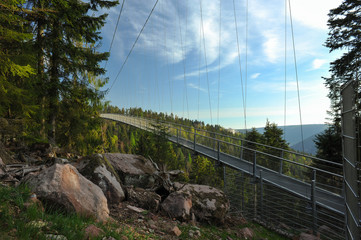 Hängebrücke Wild Line