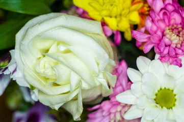 Beautiful gift bouquet of various colorful decorative summer flowers