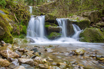 Fototapeta na wymiar Wasserfall - Allgäu - Burgberg - Fluss - Quelle - Meditation