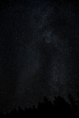 night sky milky way with billion stars and tree silhouette