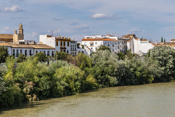 Fototapeta na wymiar Picturesque Embankment of the Guadalquivir River in Cordoba. Cordoba, Andalusia, Spain.