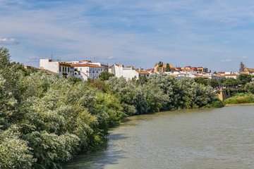 Fototapeta na wymiar Picturesque Embankment of the Guadalquivir River in Cordoba. Cordoba, Andalusia, Spain.