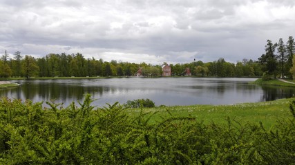 the lake is overgrown with reeds, around the forest
