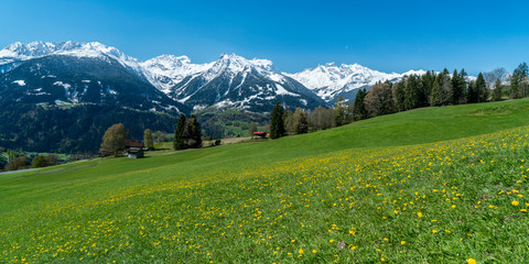 Frühlingserwachen in den Bergen
