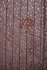 The texture of the keys on the old door