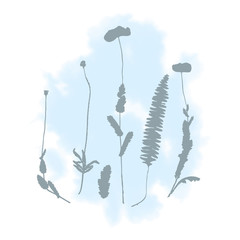 Botanical illustration with herbs, plants, flowers and leaves. Isolated vector silhouettes on watercolor splash background. Graphic design for background, card, web banner, poster, invitation.