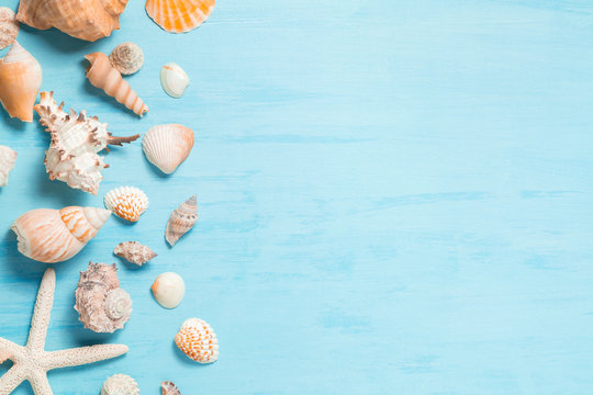 Seashell Border Images – Browse 22,466 Stock Photos, Vectors, and Video |  Adobe Stock