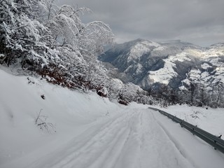 Bonito Paisaje de invierno Camino de invierno en la montañas y árboles cubiertos de nieve en...