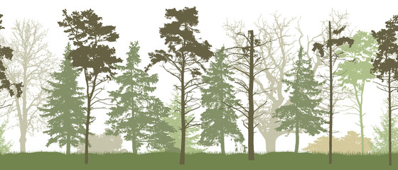 Seamless pattern of silhouette of spring forest. Vector illustration.