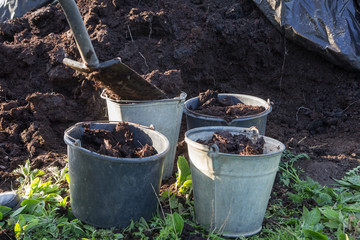 buckets with organic fertilizer in a garden