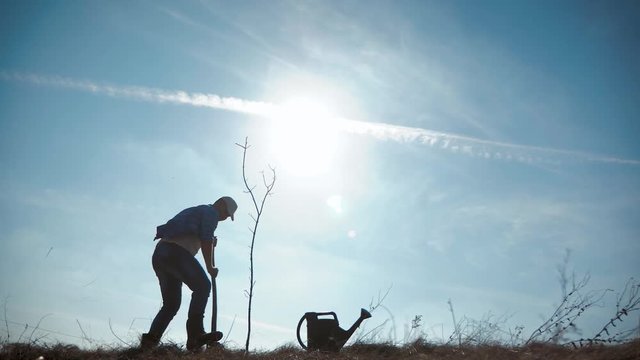 Young man planting a tree in spring. Gardener set young fruit tree seedling in the prepared hole in the area. Spring garden work concept.