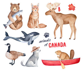 "Animals of Canada" watercolor illustration set. Handdrawn graphic clipart elements for design decoration, print, stickers, fridge magnets, unique souvenir, special memory gift, children room poster.