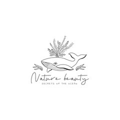 Collection of nice template