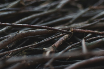 wood