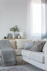 Vertical view of corner sofa with pillows and blanket, copy space on empty white wall
