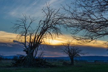 Bäume in Auenlandschaft Sonnenuntergang Wetterau Hessen