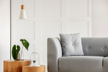Modern living room interior with grey sofa and wooden details