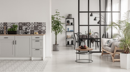 Elegant kitchen and dining room interior with black and white design and plant in concrete pot