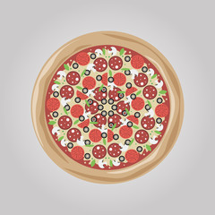 flat style pizza with ingredients. vector illustration