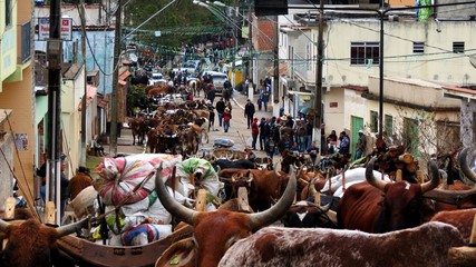 Festa do carro de boi