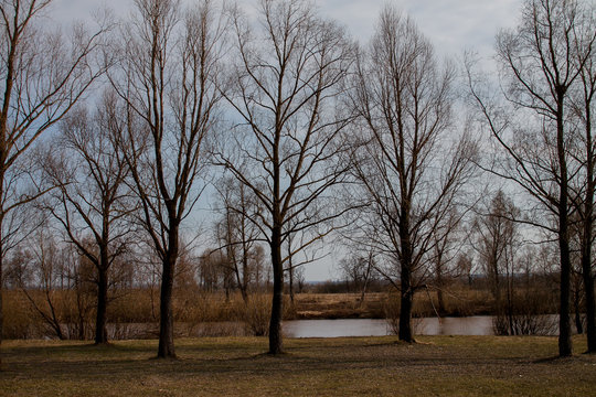 Shishkin ponds in Elabuga, Russia