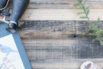 Birdwatching Theme background