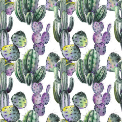 Seamless pattern with green cactus plants. Watercolor on white background.