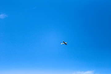 small plane in blue sky 