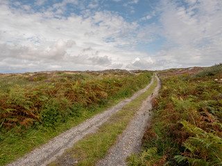 Small country road in Ireland, county Galway.