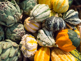 pumpkins, gourds and artichokes