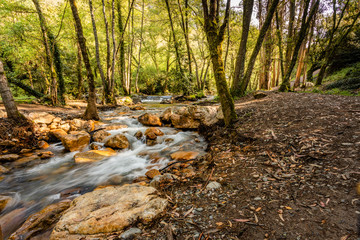 Obraz premium Waterfall in the Fragas de sao Simao, Figueiro dos Vinhos, Portugal
