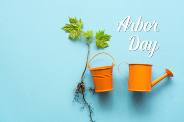 Young tree seedlings. Arbor day - space for text 